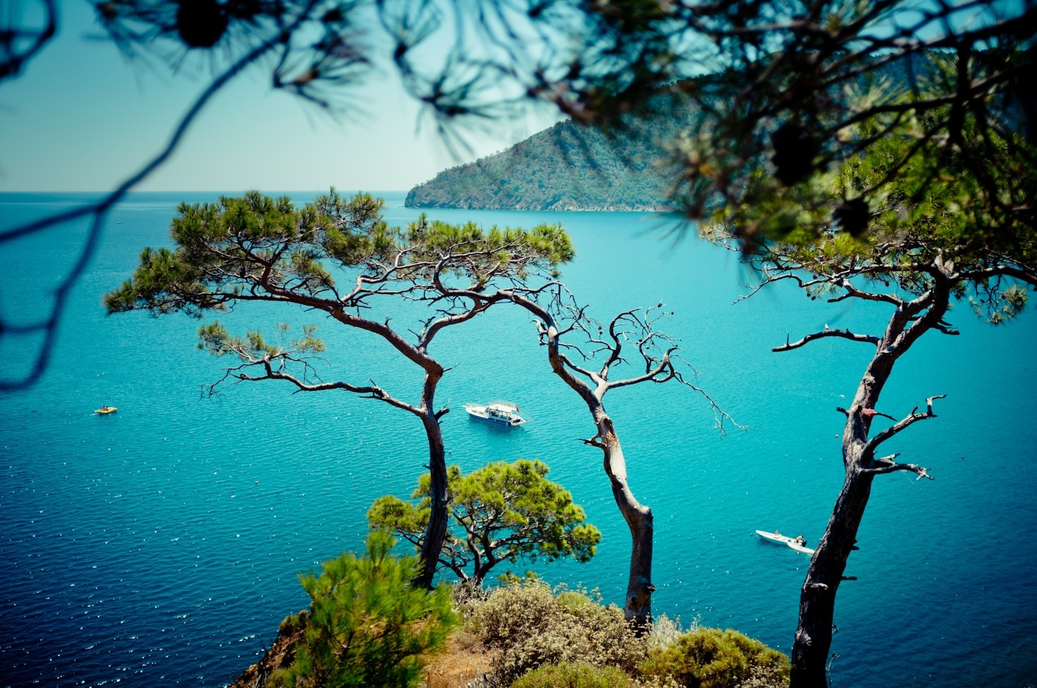 La natura incontaminata della costa sud-orientale
